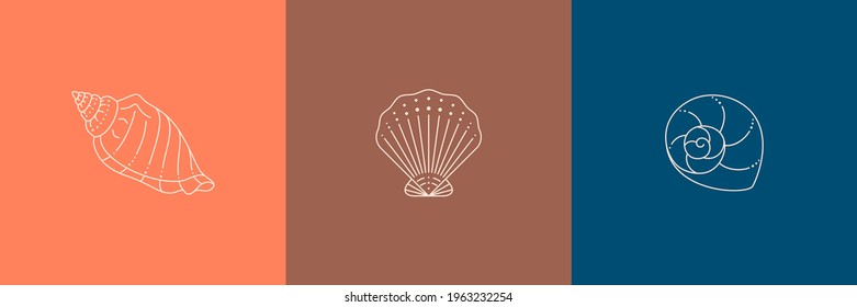 Set of Seashells Icons in a Trendy Minimal Linear Style. Vector Illustration of a Conch, Snail, Scallop and Oyster, for Website, T-Shirt Print, Tattoo, Social Media Post and Stories