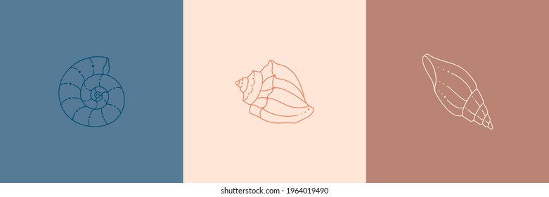 Set of Seashells Icons in a Trendy Minimal Linear Style. Vector Illustration of a Conch, Snail, Scallop for Website, T-Shirt Print, Tattoo, Social Media Post and Stories