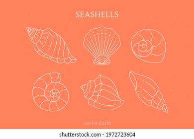 Set of Seashells Icons in a Trendy Minimal Linear Style. Vector Illustration of a Conch, Snail, Scallop and Oyster in Coral Color for Website, T-Shirt Print, Tattoo, Social Media Post and Stories