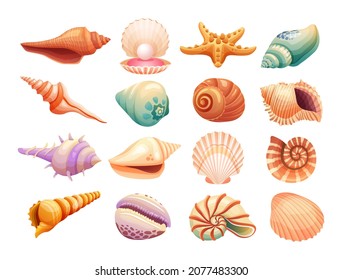 Set of seashells illustration isolated on white background