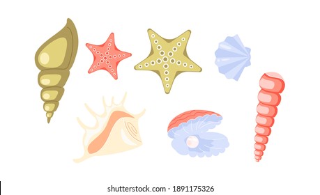 Set of seashells isolated on white background. Flat Art Vector Illustration