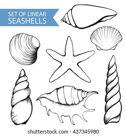 set of seashells linear silhouettes sketch in retro style isolated on white background, handmade, starfish, vector Stock
