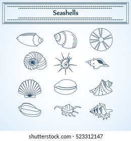 set of seashells in a linear style   For use as logos on cards, in printing, posters, invitations, web design and other purposes