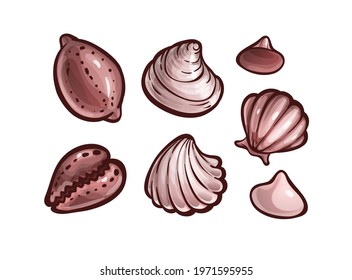 Set of seashells. Marine animals, underwater. Vector illustration in cartoon style, objects isolated on white