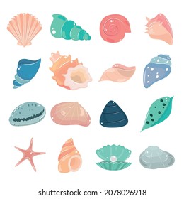 set of seashells marine life