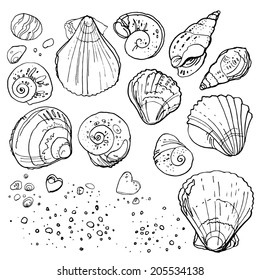 Set seashells on the beach, vector seashells isolated on white. Drawing a black line