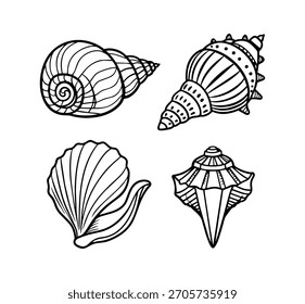 Muscheln auf Schwarz