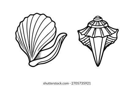 Conjunto de conchas de mar en color negro