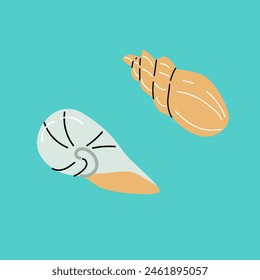 Set of seashells on blue background. Flat cartoon illustration. Summer vacation collection, tropical beach shells.