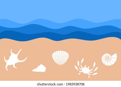 Set of seashells on the sandy shore. Summertime travel concept