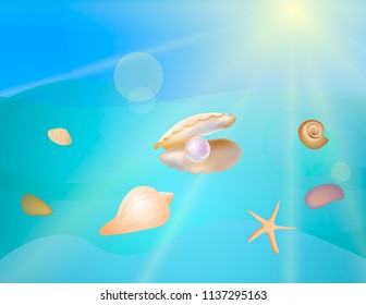Set of seashells on a sea background