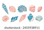 Set of seashells on white background. Ocean exotic underwater seashell conch aquatic mollusk, sea spiral snail, marine starfish. Hello, summer. Vacation. Undersea collection, tropical beach.