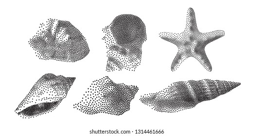 Set of Seashells on white background, seashells in Pointillism style, Vector illustration