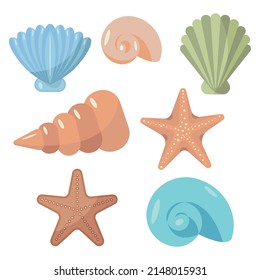 Set of seashells on a white background. vector illustration