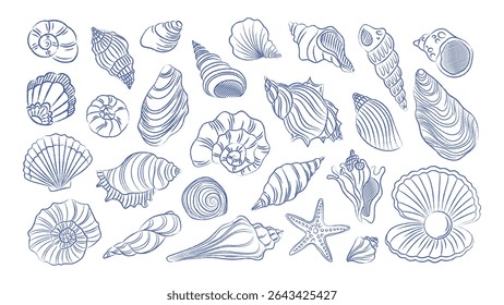 Set of seashells on white background. Trending doodles, twisted ornate shells. Vector pen drawn vintage element