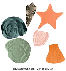 Conjunto de conchas marinhas em um fundo branco. Ilustração vetorial.