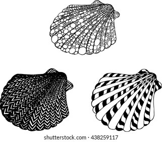 Set of seashells on white background, handmade graphics