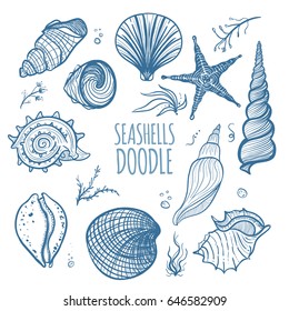 Set of seashells on white background. Hand drawn doodle seashells, starfish, seaweed and coral. Seashells vector illustration.