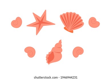 Set of seashells. Orange seashells in a simple flat style, for the seaside, for the aquarium, summer illustration, summer vacation on the beach, ocean or sea shore, can be used as icon, sign or symbol