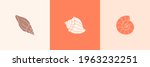 Set of Seashells Outline Icons in a Trendy Minimal Style. Vector Illustration of a Conch, Snail, Scallop and for Website, T-Shirt Print, Tattoo, Social Media Post and Stories