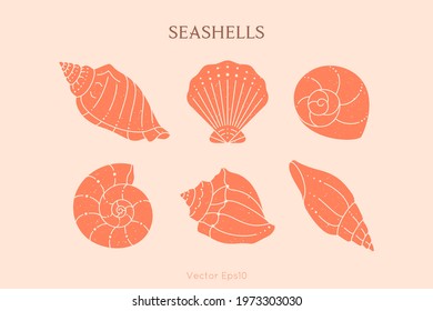 Set of Seashells Outline Icons in a Trendy Minimal Style. Vector Illustration of a Conch, Snail, Scallop and Oyster, for Logo, Patterns, T-Shirt Print, Tattoo, Social Media Post and Stories