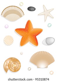 Set of seashells, sea star, stones isolated on white background