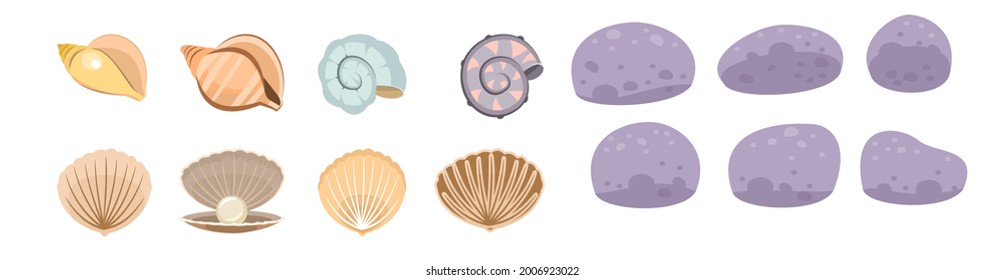 Set of seashells. Shell. Underwater world. Aquarium or pond. Summer water. Isolated on white background. Illustration in cartoon style. Flat design. Vector art