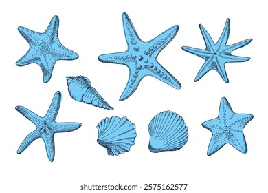 Set with seashells, starfish in blue color. Sketch style. Set of sea objects. Ocean underwater sink seashell conch aquatic mollusk. Hand drawn illustrations. Vector isolated on white background.