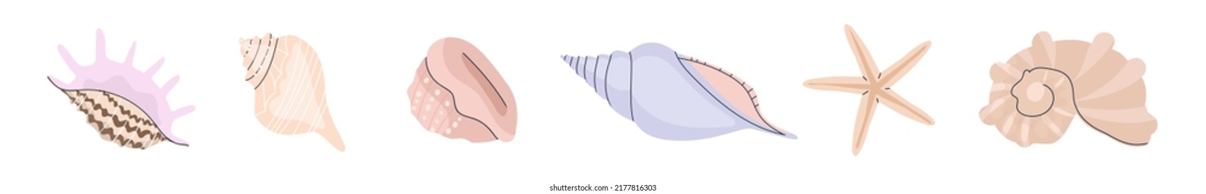 Set of seashells and starfish. Flat vector illustration. Eps10