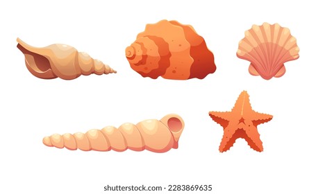 Set of Seashells and Starfish Isolated on White Background. Modern Minimalist Icon. Vector Illustration in Cartoon Style. 