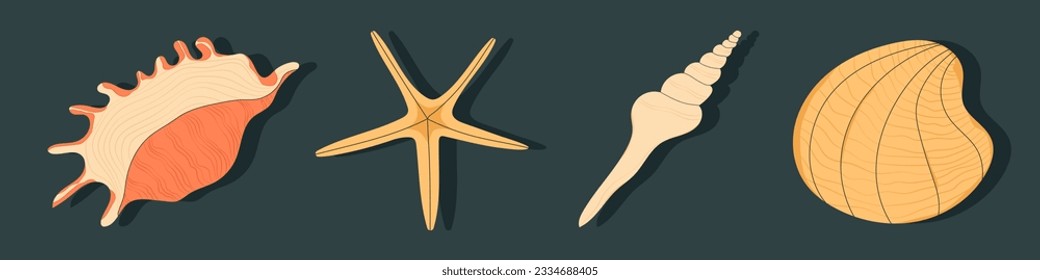 Set of seashells and starfish on dark background. Seashell. Isolated seashells, oyster and clam. Flat cartoon style. Summer vacation collection. Vector stock illustration, all elements isolated.