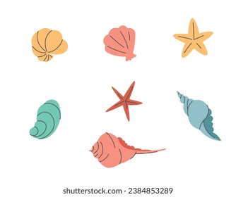 Set of seashells and starfish on a white background. Flat cartoon style with line elements. Flat shells for summer design