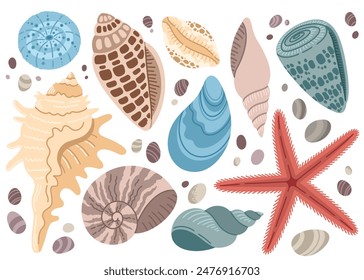 Set of seashells and starfish on white background. Cartoon clam, oyster and scallop shells. Tropical seashell. Float vector illustration.