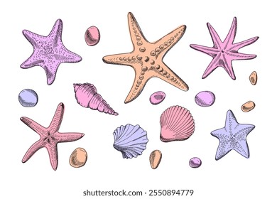 Set mit Muscheln, Seestern und Kieselsteinen. Skizzenstil. Set von Meeresobjekten. Handgezeichnete Illustrationen Vektor einzeln auf weißem Hintergrund.