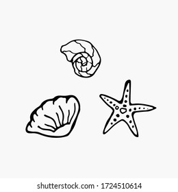 
Set of seashells, starfish. Sea creatures. Isolated objects on a white background. Vector illustration in doodle style.