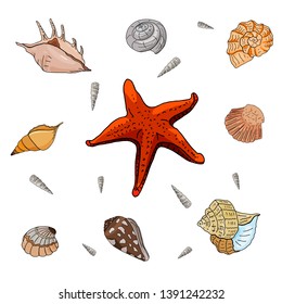 set of seashells and starfish for summer design on a white background