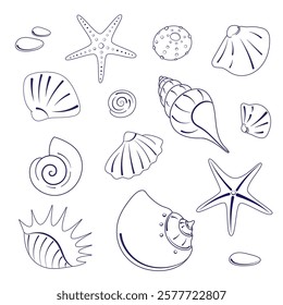 Set of seashells and starfishes on a white background. Vector illustration in the style of minimalism of marine fauna. Vector eps 10