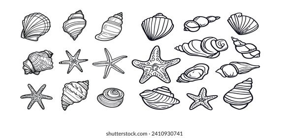 Conjunto de conchas marinas y peces estelares. Esbozo de aislado sobre fondo blanco. Ilustración vectorial monocroma.