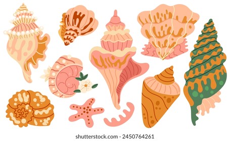 Conjunto de conchas marinas y estrellas de mar. Corral de perlas y conchas de caracol. Elementos de vida marina. Ilustración vectorial mar conjunto para cartel, tarjeta, scrapbooking , pegatinas.