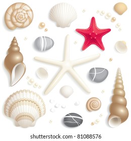 Set of seashells, starfishes and pebbles