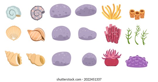 Set of seashells, stones, corals, algae. Shell. Underwater world. Aquarium or pond. Summer water. Isolated on white background. Illustration in cartoon style. Flat design. Vector art