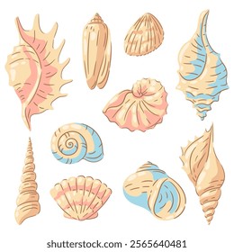 Conjunto de conchas marinas. Ilustración de conchas de moluscos submarinos tropicales.