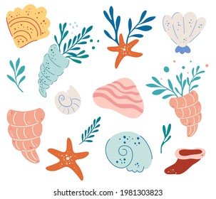 Set of seashells. Underwater world. Hand drawn various seashells. Summer concept. Marine life. Mollusks, seaweed, Colorful seashells, starfish. Flat cartoon vector illustration.