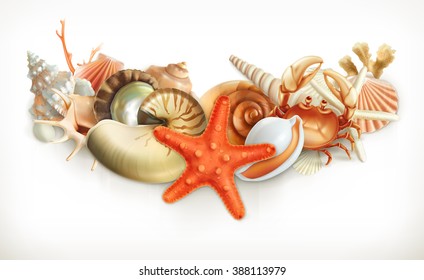 Set of seashells, vector illustration