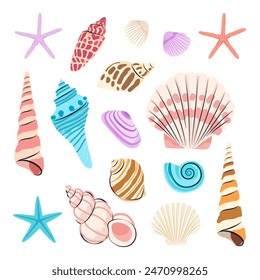 Set of Seashells vector illustration.Variety of seashells isolated on white background.