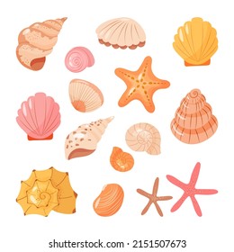 Set of seashells vector isolated icons