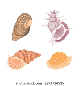 Set of seashells in vector.Collection of marine inhabitants isolated on white background.Cartoon shellfish in color.Animals of the underwater world.Print on fabric and paper.Flat style illustration.