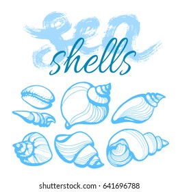 Set with the seashells and words on white background. Lettering. Vector. Handwritten illustration for t-shirt design, poster, web design, print