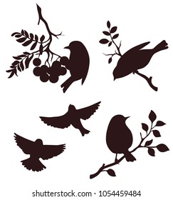 Set of season bird and twig silhouettes. Vector birds sitting on twigs of tree and flying