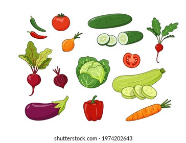 Set of seasonal hand-drawn vegetables in cartoon style isolated on white background. Summer harvest - cabbage, eggplant, zucchini, peppers, carrots,  radishes, cucumbers, tomatoes and onion. Vector